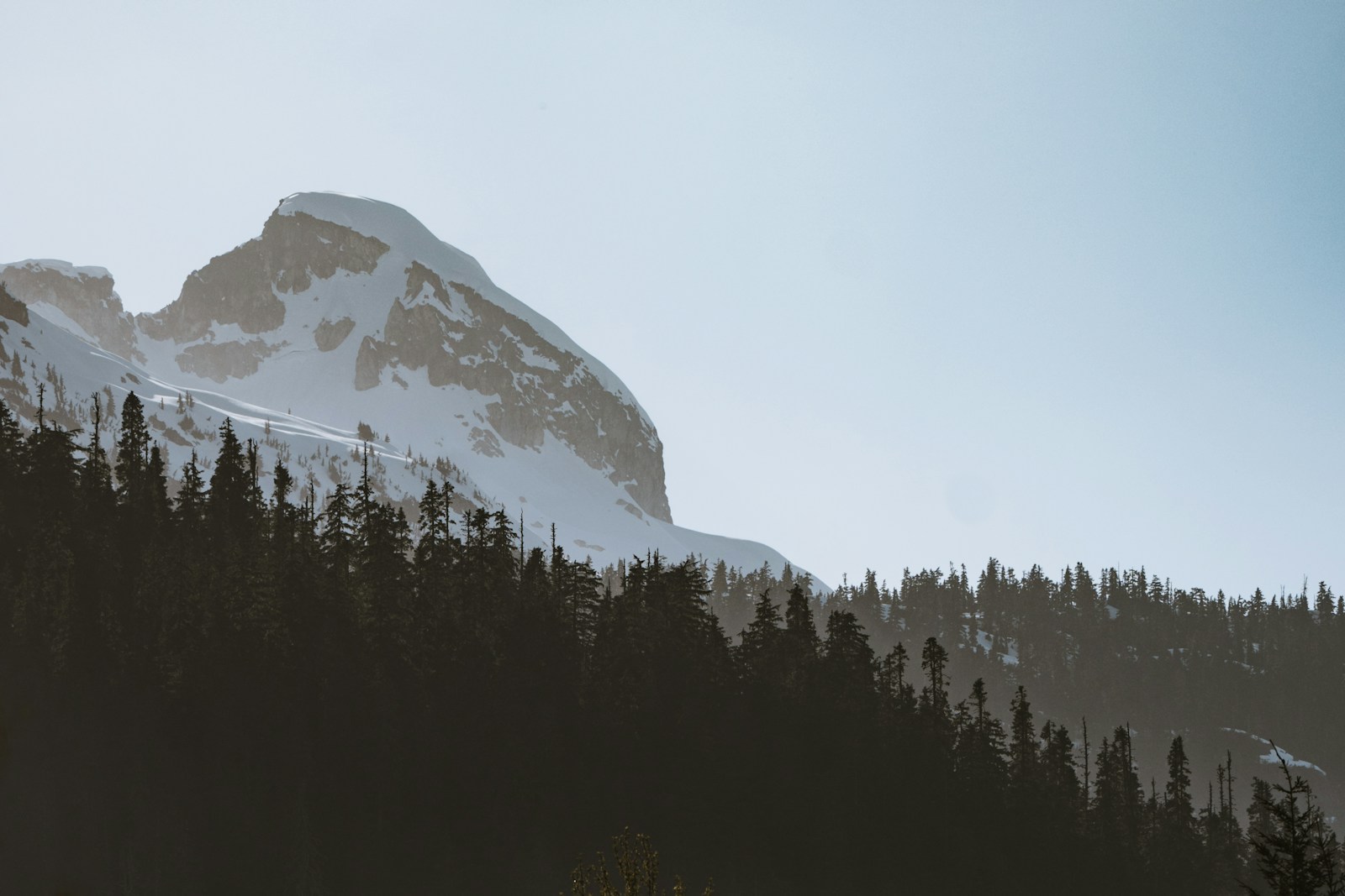 a snow covered mountain with trees in the foreground